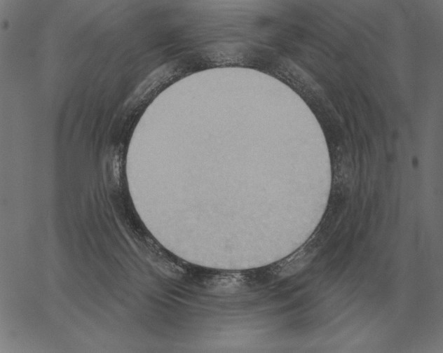 X0000062890124200602101751