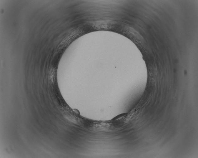 X0000062890125200602101751