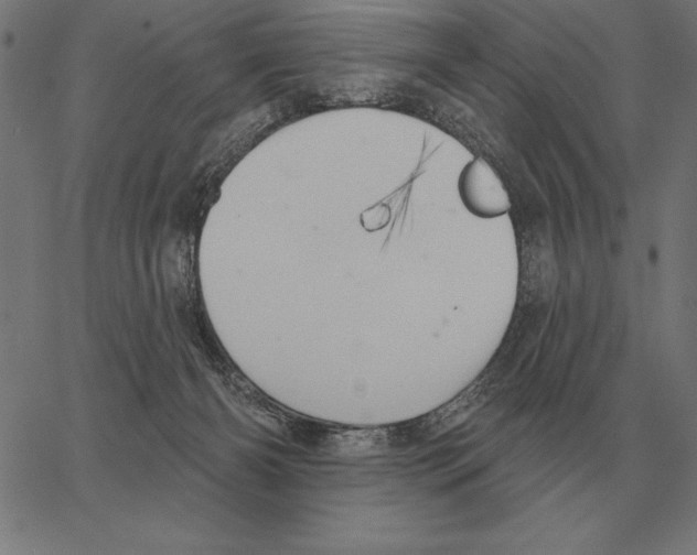 X0000062890126200602101751