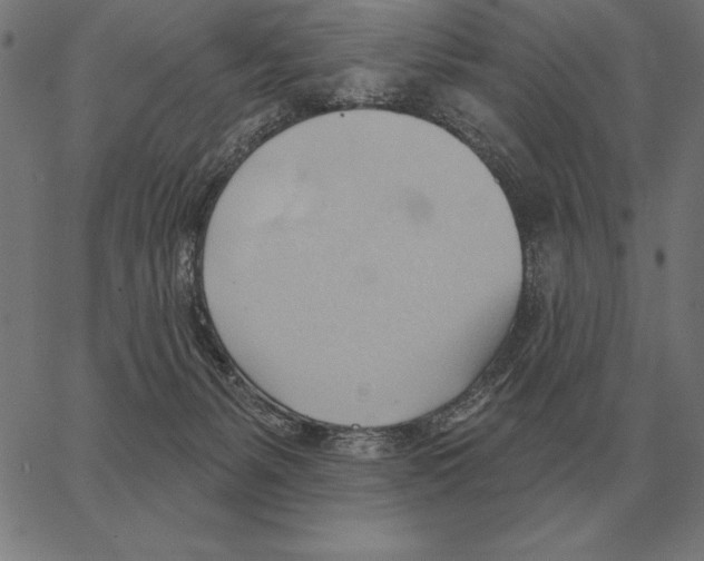 X0000062890127200602101751