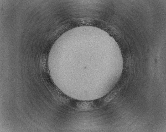 X0000062890129200602101751