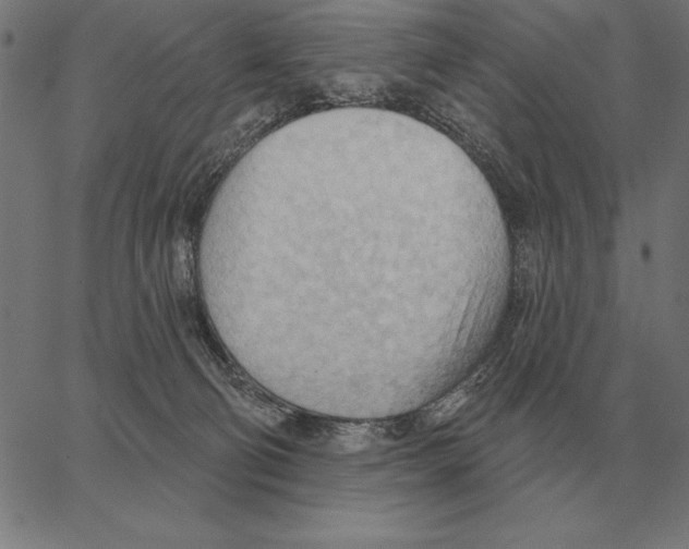 X0000062890130200602101751