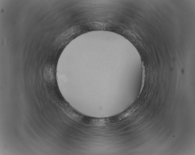 X0000062890131200602101751