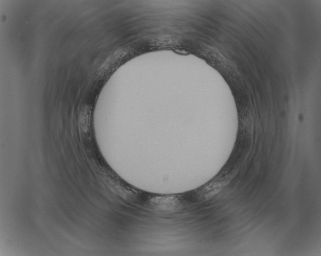 X0000062890133200602101751