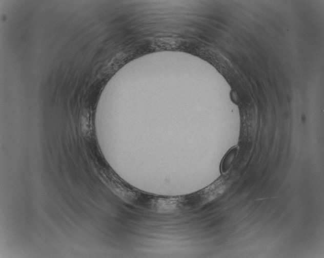 X0000062890134200602101751