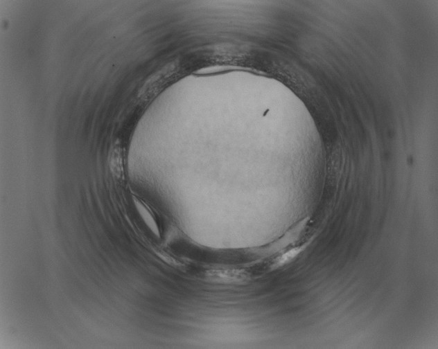 X0000062890137200602101751