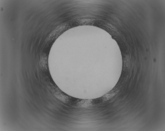 X0000062890138200602101751