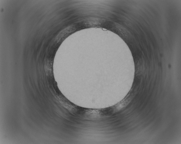 X0000062890140200602101750