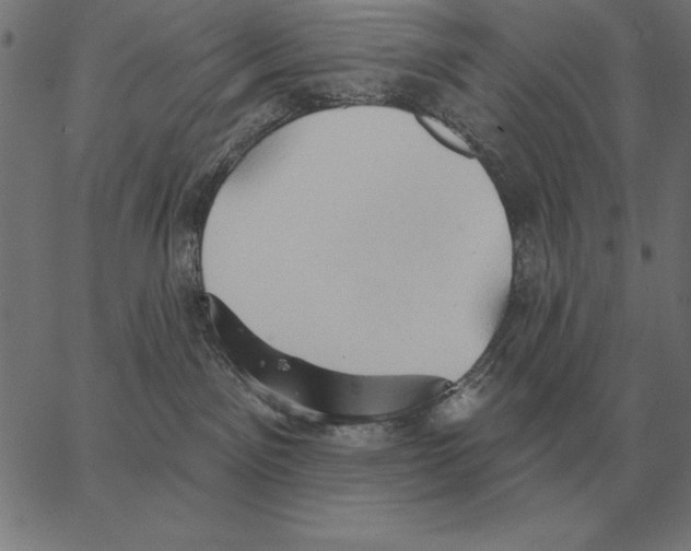 X0000062890141200602101750