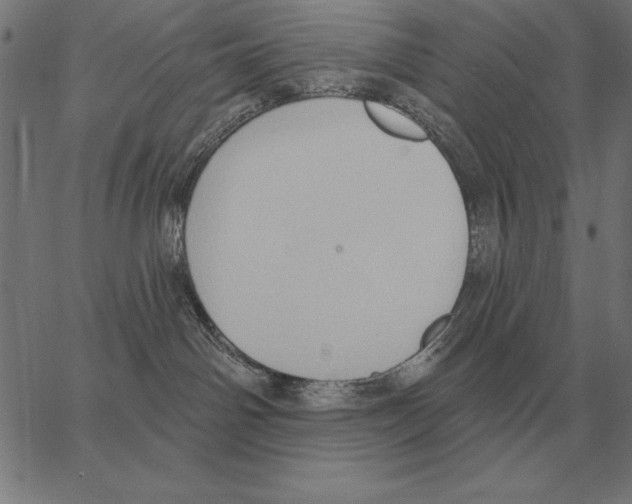 X0000062890142200602101750