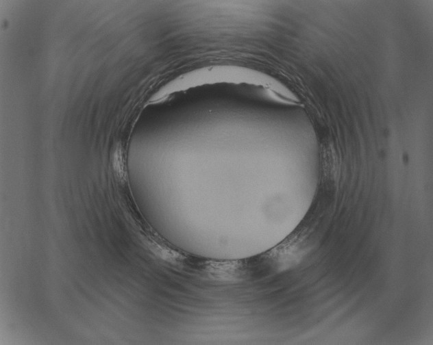 X0000062890143200602101750