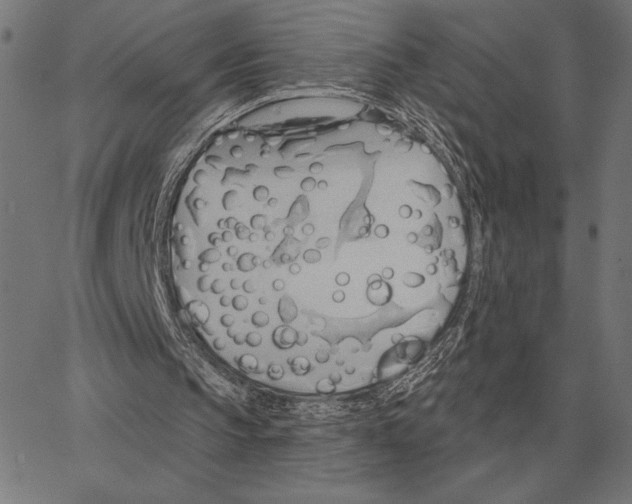 X0000062890145200602101750