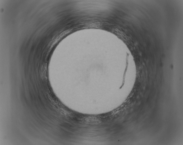 X0000062890146200602101750