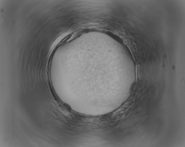 X0000062890147200602101750