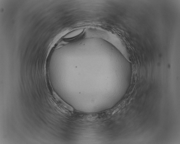 X0000062890148200602101750