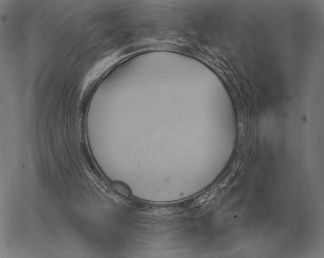 X0000062890149200602101750