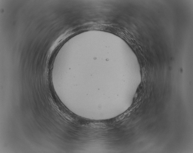 X0000062890150200602101750