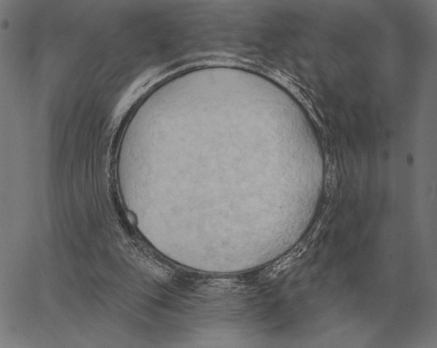 X0000062890151200602101750