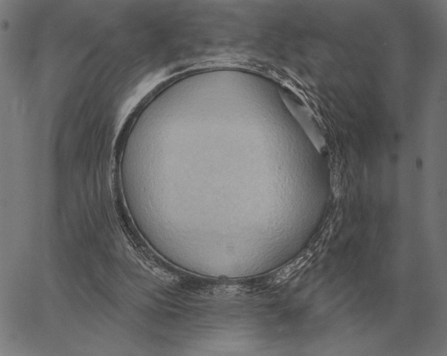 X0000062890152200602101750