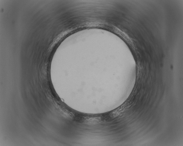 X0000062890155200602101750