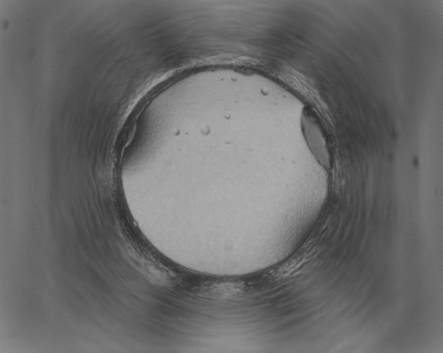 X0000062890156200602101750