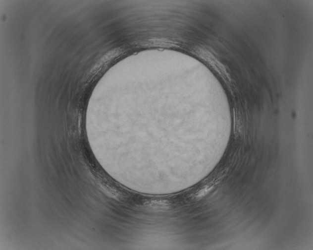 X0000062890157200602101750