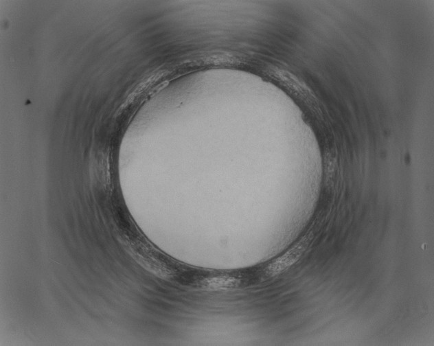 X0000062890158200602101750