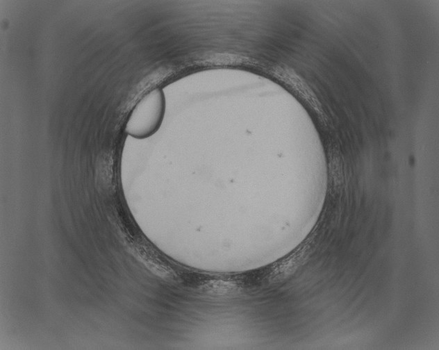 X0000062890159200602101750