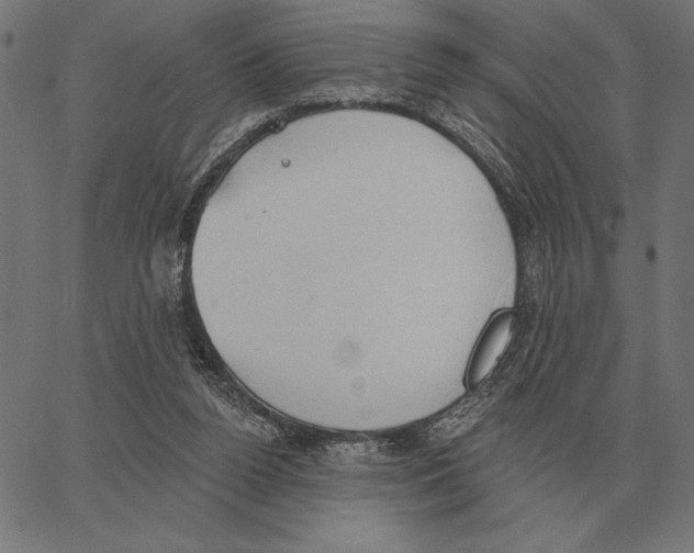 X0000062890160200602101750