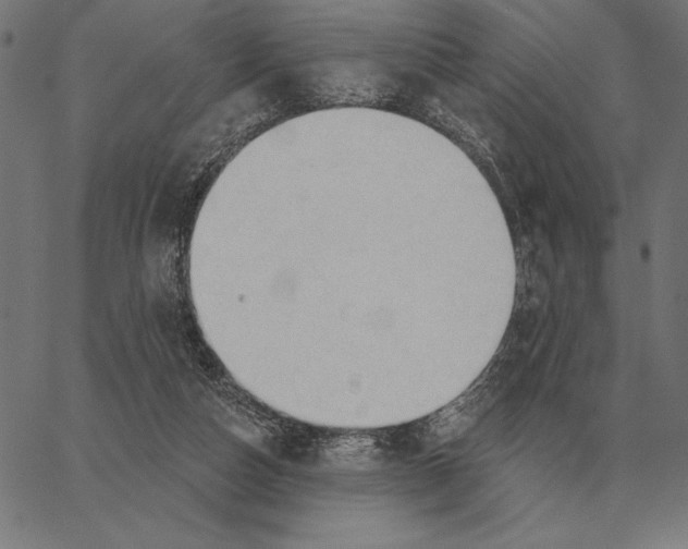 X0000062890162200602101750