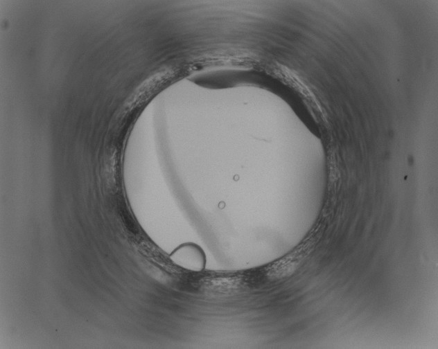 X0000062890163200602101750