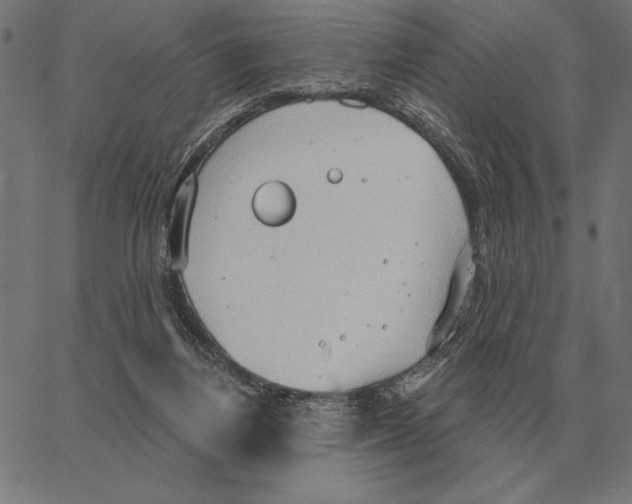 X0000062890164200602101750