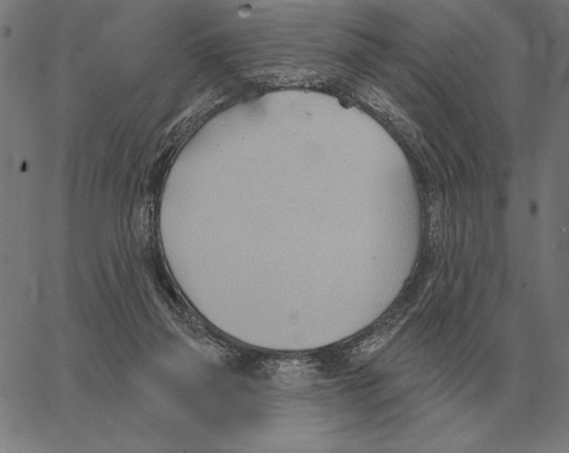 X0000062890165200602101750