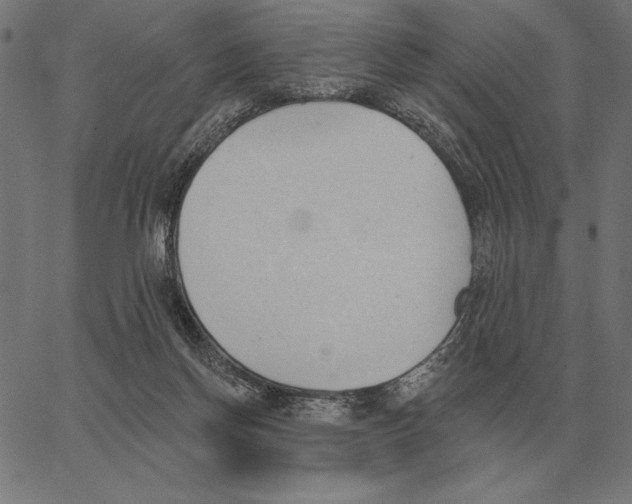 X0000062890166200602101750