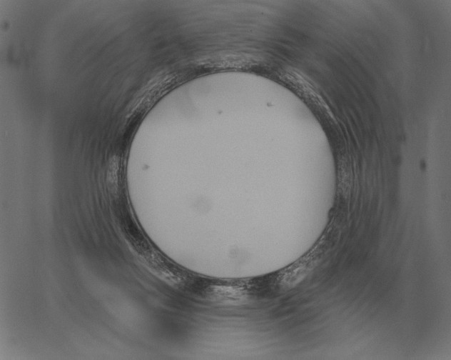 X0000062890167200602101750