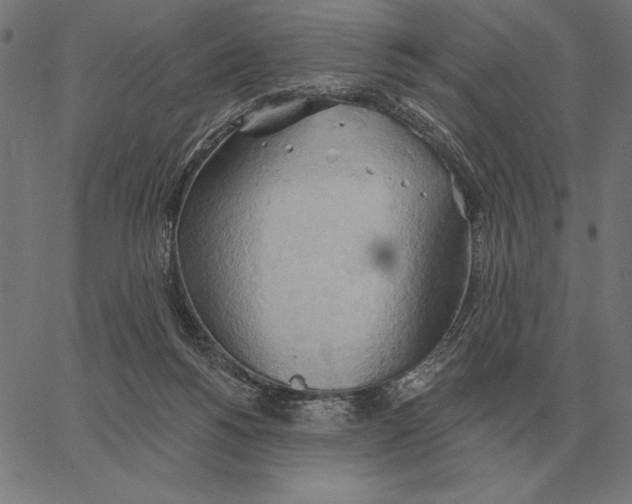 X0000062890168200602101750