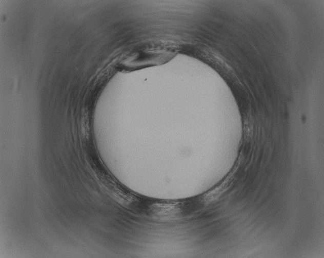 X0000062890170200602101750