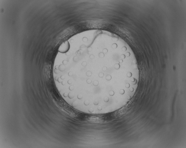 X0000062890171200602101750