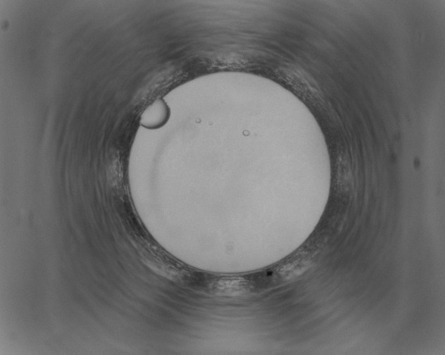 X0000062890173200602101750