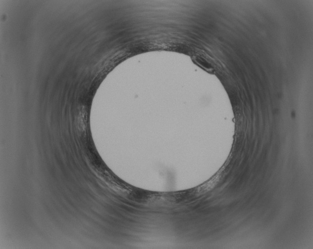 X0000062890174200602101750