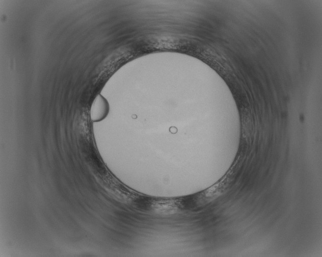 X0000062890175200602101750