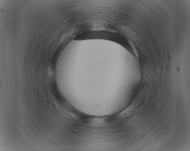 X0000062890176200602101750