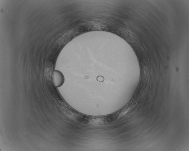 X0000062890177200602101750