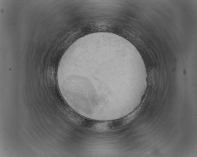 X0000062890178200602101750