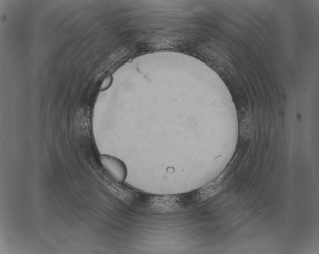 X0000062890179200602101750