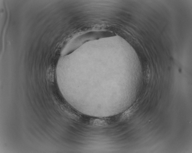 X0000062890180200602101750