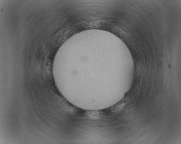 X0000062890181200602101750