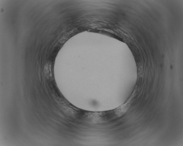 X0000062890182200602101750