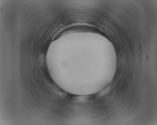 X0000062890184200602101750