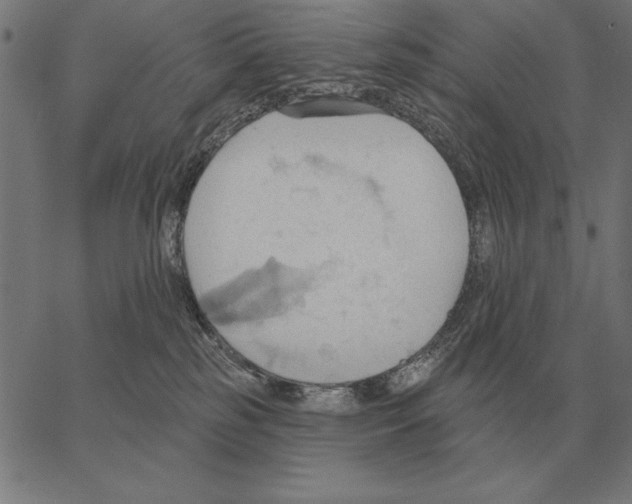 X0000062890185200602101750